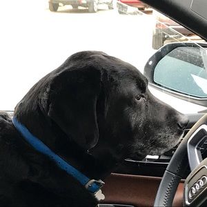 Meet your Posher, Leslie